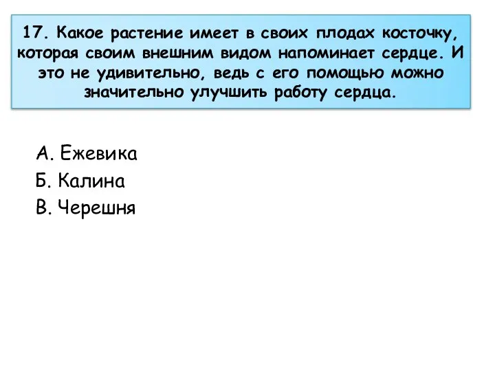 17. Какое растение имеет в своих плодах косточку, которая своим внешним видом