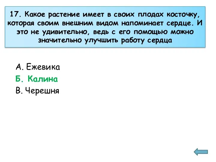 17. Какое растение имеет в своих плодах косточку, которая своим внешним видом