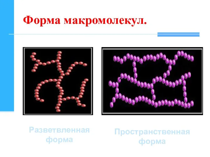 Форма макромолекул. Разветвленная форма Пространственная форма