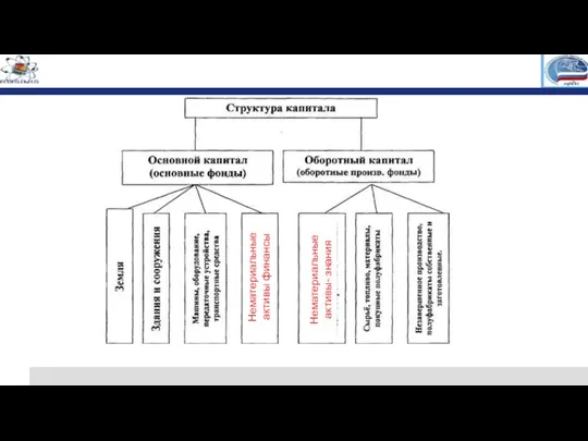 Нематериальные активы финансы Нематериальные активы- знания