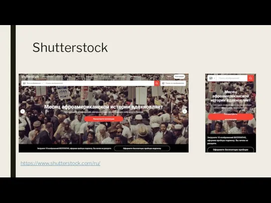 Shutterstock https://www.shutterstock.com/ru/
