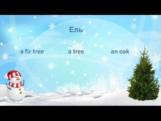 Ель a tree a fir tree an oak