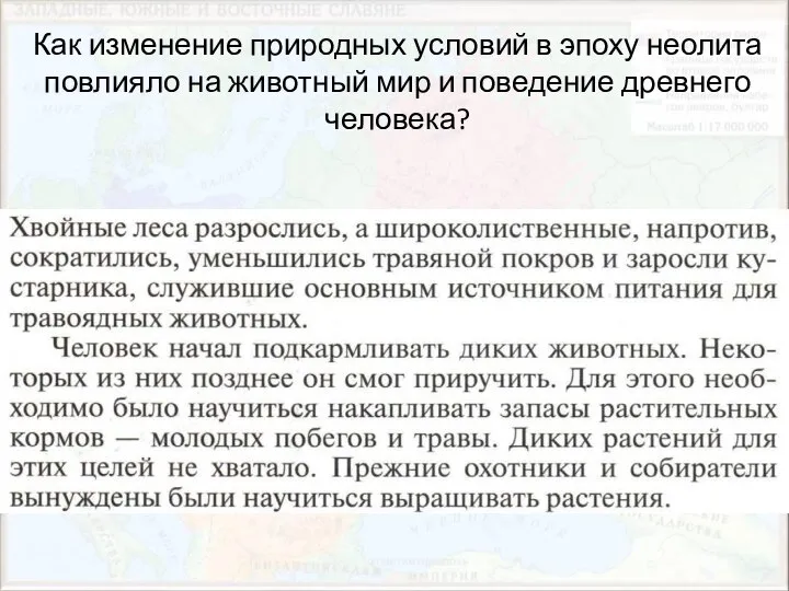 Как изменение природных условий в эпоху неолита повлияло на животный мир и поведение древнего человека?