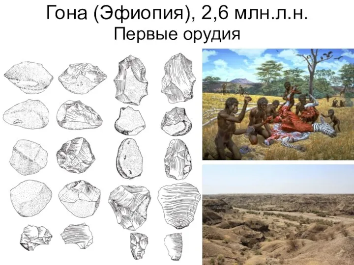Гона (Эфиопия), 2,6 млн.л.н. Первые орудия