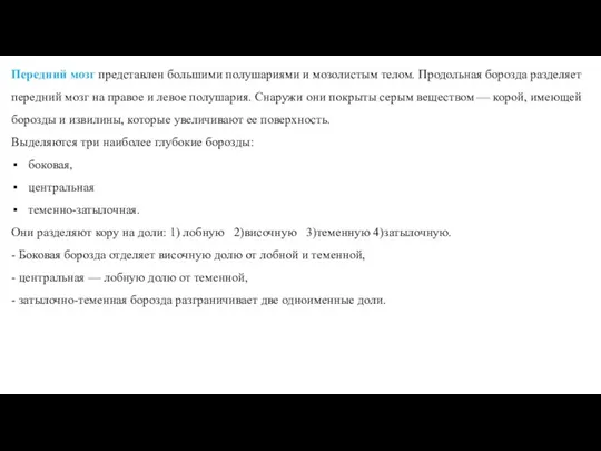 Передний мозг представлен большими полушариями и мозолистым телом. Продольная борозда разделяет передний