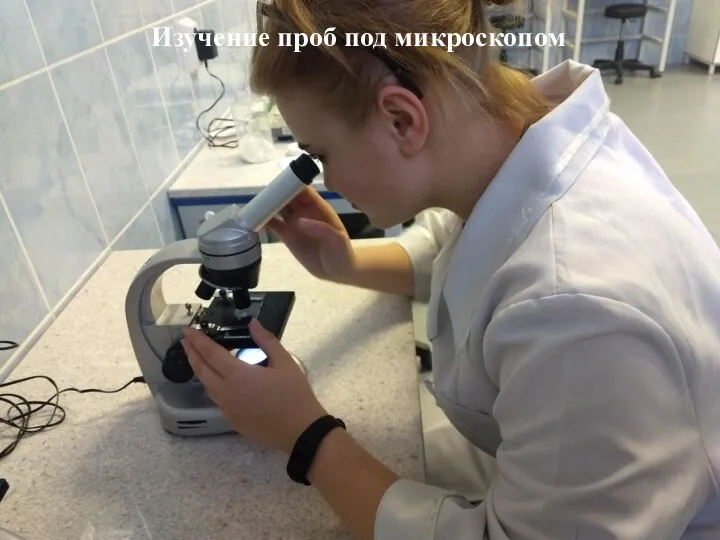 Изучение проб под микроскопом