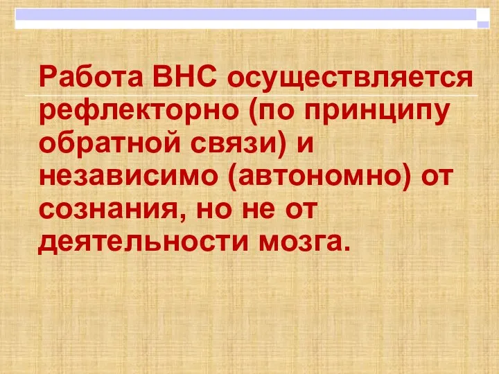 Работа ВНС осуществляется рефлекторно (по принципу обратной связи) и независимо (автономно) от