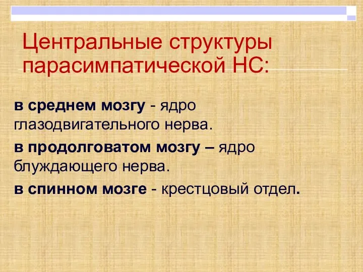 Центральные структуры парасимпатической НС: в среднем мозгу - ядро глазодвигательного нерва. в