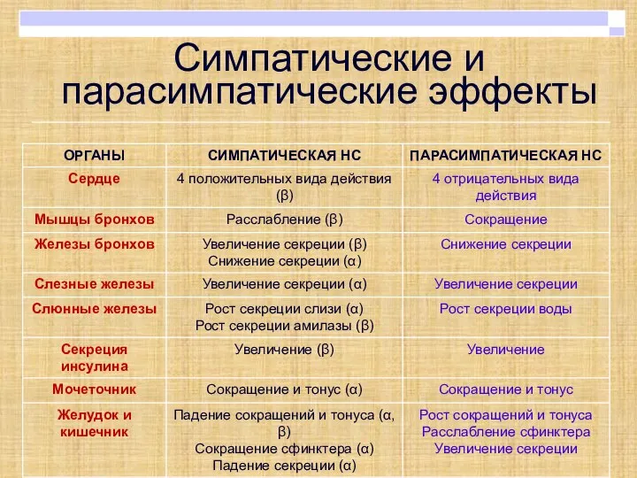 Симпатические и парасимпатические эффекты