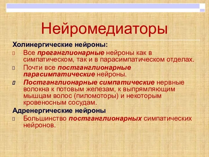 Нейромедиаторы Холинергические нейроны: Все преганглионарные нейроны как в симпатическом, так и в