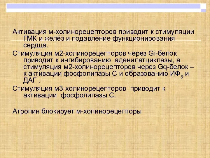 Активация м-холинорецепторов приводит к стимуляции ГМК и желёз и подавление функционирования сердца.