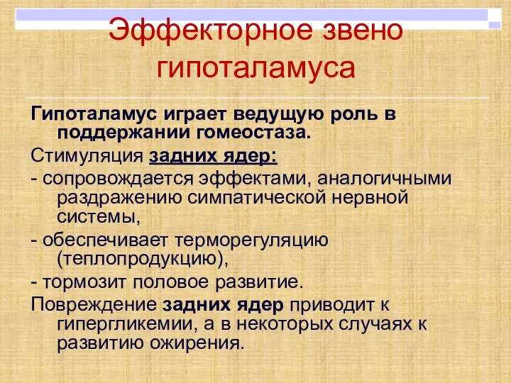 Эффекторное звено гипоталамуса Гипоталамус играет ведущую роль в поддержании гомеостаза. Стимуляция задних