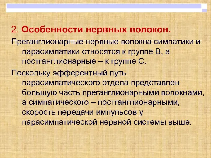 2. Особенности нервных волокон. Преганглионарные нервные волокна симпатики и парасимпатики относятся к