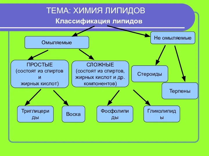 ТЕМА: ХИМИЯ ЛИПИДОВ Классификация липидов Стероиды ПРОСТЫЕ (состоят из спиртов и жирных