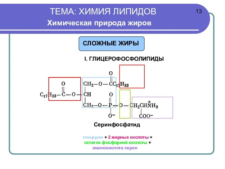 ТЕМА: ХИМИЯ ЛИПИДОВ Химическая природа жиров I. ГЛИЦЕРОФОСФОЛИПИДЫ Серинфосфатид глицерин + 2