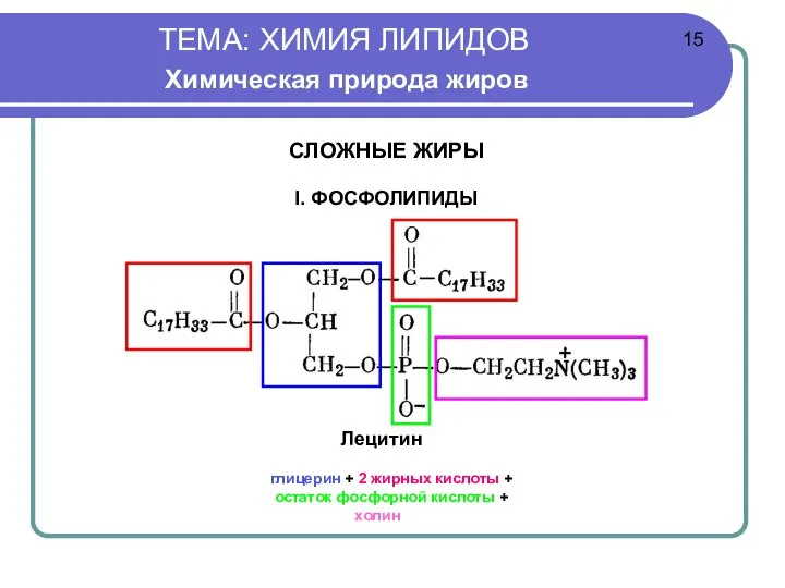 ТЕМА: ХИМИЯ ЛИПИДОВ Химическая природа жиров Лецитин глицерин + 2 жирных кислоты