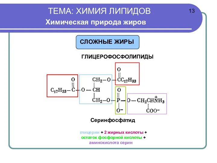 ТЕМА: ХИМИЯ ЛИПИДОВ Химическая природа жиров ГЛИЦЕРОФОСФОЛИПИДЫ Серинфосфатид глицерин + 2 жирных