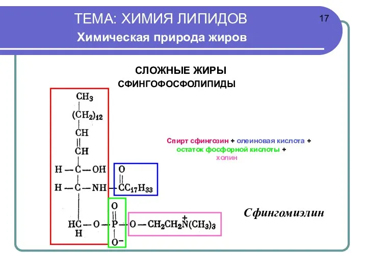 ТЕМА: ХИМИЯ ЛИПИДОВ Химическая природа жиров СЛОЖНЫЕ ЖИРЫ СФИНГОФОСФОЛИПИДЫ СФИНГОМИЕЛИН 17 Спирт