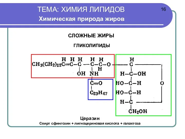 ТЕМА: ХИМИЯ ЛИПИДОВ Химическая природа жиров СЛОЖНЫЕ ЖИРЫ ГЛИКОЛИПИДЫ Церазин Спирт сфингозин