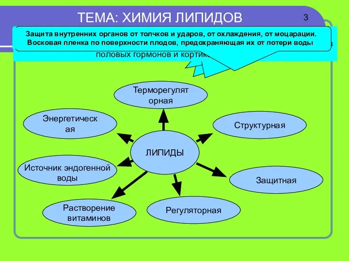 Растворение витаминов ТЕМА: ХИМИЯ ЛИПИДОВ Функция липидов ЛИПИДЫ Энергетическая Терморегуляторная Структурная Регуляторная Защитная 3