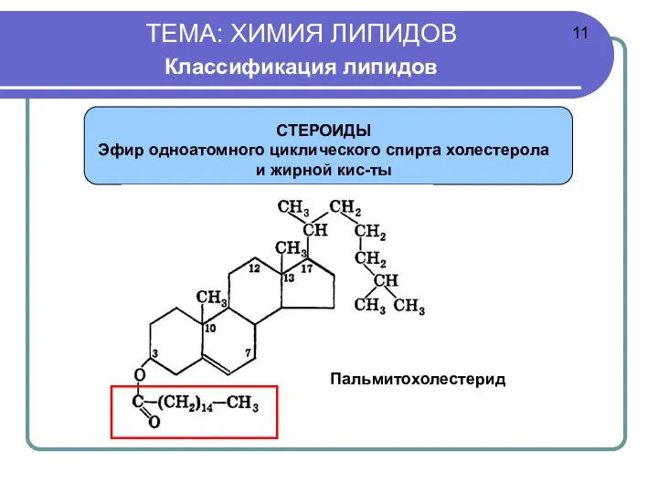 ТЕМА: ХИМИЯ ЛИПИДОВ Классификация липидов 11