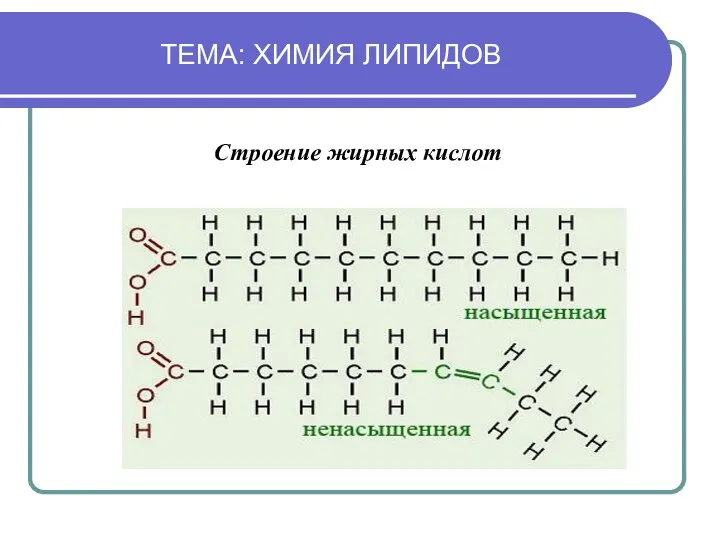 ТЕМА: ХИМИЯ ЛИПИДОВ Строение жирных кислот