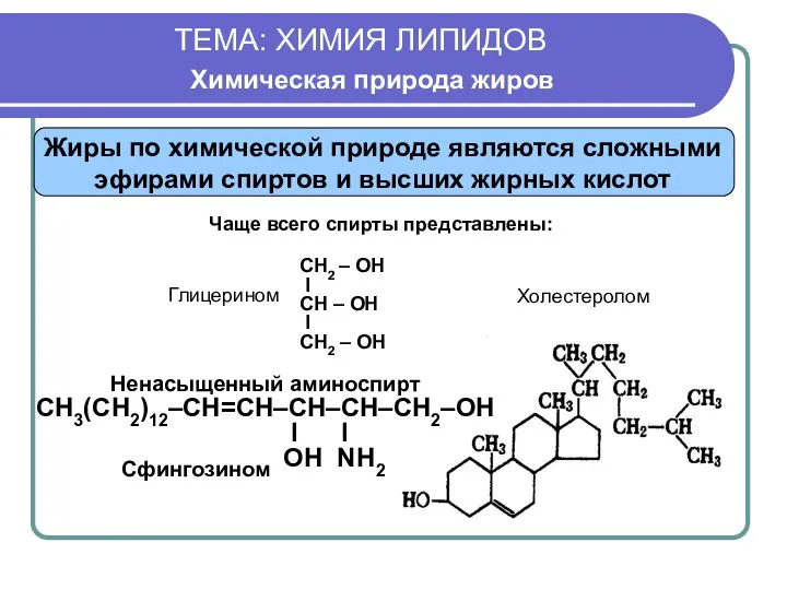 ТЕМА: ХИМИЯ ЛИПИДОВ Химическая природа жиров Чаще всего спирты представлены: Ненасыщенный аминоспирт