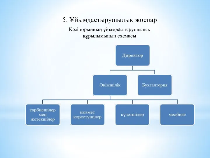 5. Ұйымдастырушылық жоспар Кәсіпорынның ұйымдастырушылық құрылымының схемасы