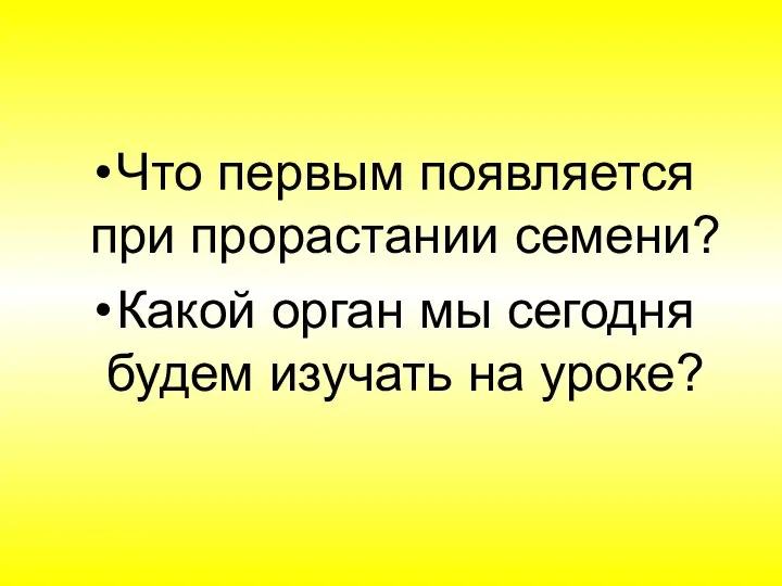 Что первым появляется при прорастании семени? Какой орган мы сегодня будем изучать на уроке?