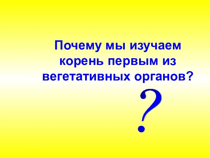 Почему мы изучаем корень первым из вегетативных органов? ?