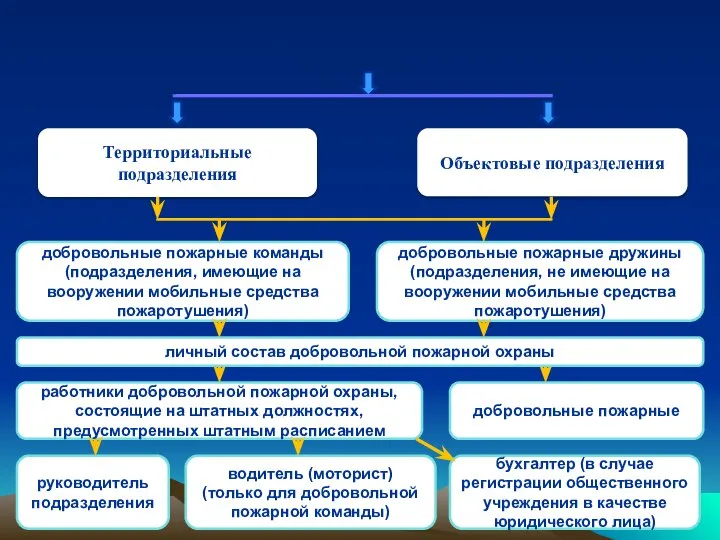 Подразделения добровольной пожарной охраны Территориальные подразделения Объектовые подразделения добровольные пожарные команды (подразделения,