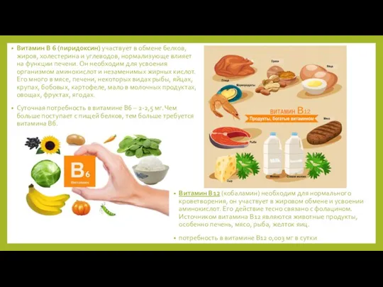 Витамин В 6 (пиридоксин) участвует в обмене белков, жиров, холестерина и углеводов,