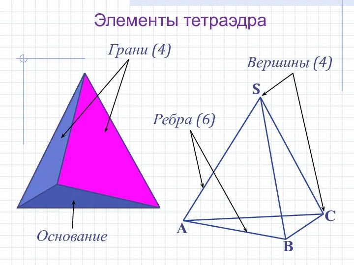 Элементы тетраэдра Грани (4) Ребра (6) Вершины (4) Основание