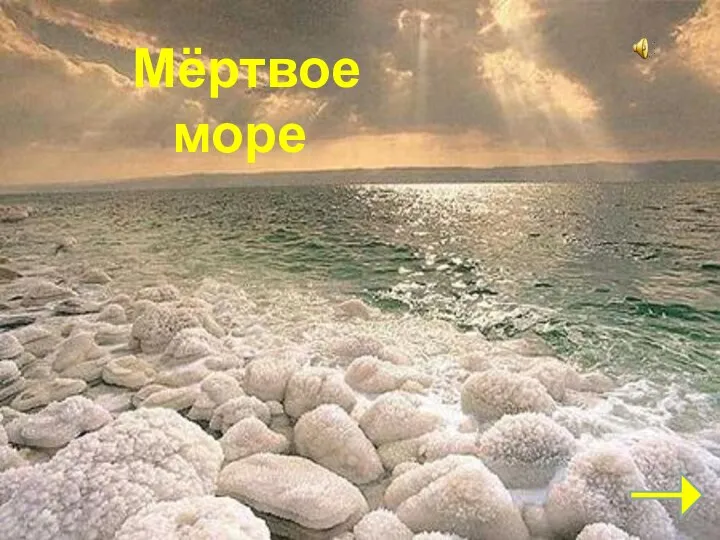 Эверест Мёртвое море