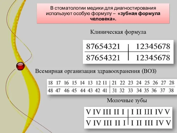 Всемирная организация здравоохранения (ВОЗ) Молочные зубы Клиническая формула