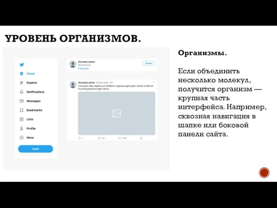 УРОВЕНЬ ОРГАНИЗМОВ. Уровень организмов. Организмы. Если объединить несколько молекул, получится организм —