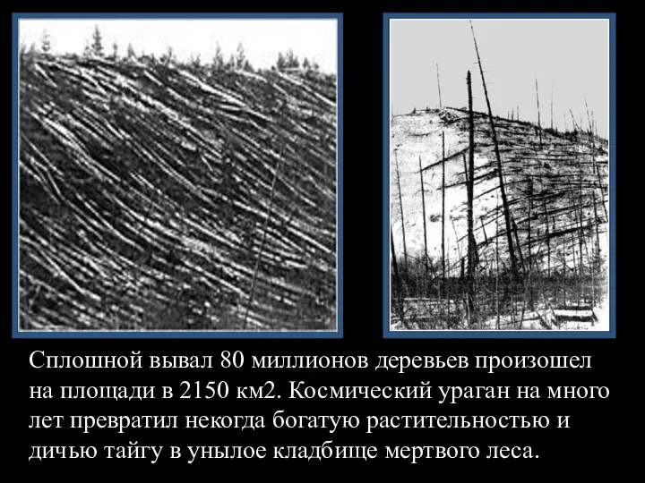 Сплошной вывал 80 миллионов деревьев произошел на площади в 2150 км2. Космический