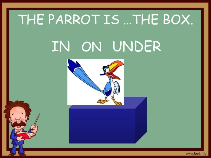 THE PARROT IS …THE BOX. IN UNDER ON