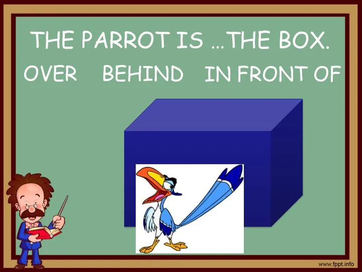 IN FRONT OF OVER BEHIND THE PARROT IS …THE BOX.