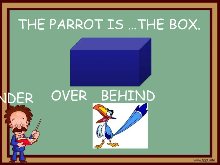 UNDER OVER BEHIND THE PARROT IS …THE BOX.