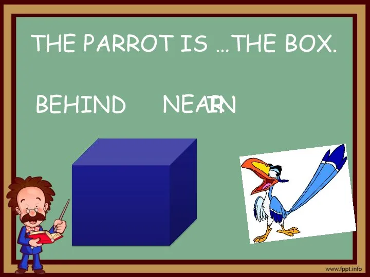 NEAR BEHIND IN THE PARROT IS …THE BOX.