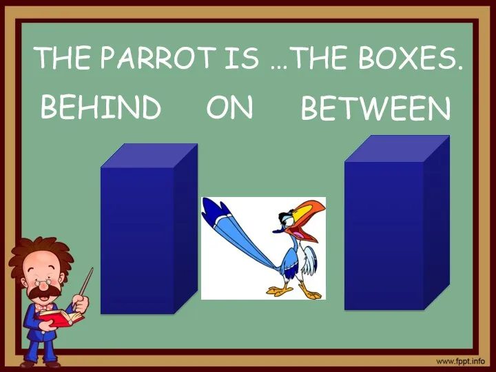 BETWEEN BEHIND ON THE PARROT IS …THE BOXES.