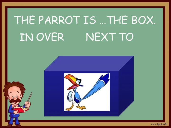 IN OVER NEXT TO THE PARROT IS …THE BOX.