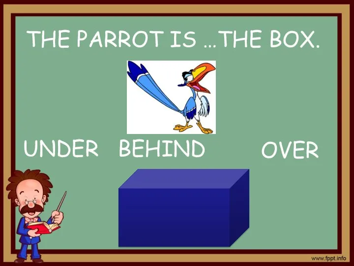 OVER UNDER BEHIND THE PARROT IS …THE BOX.