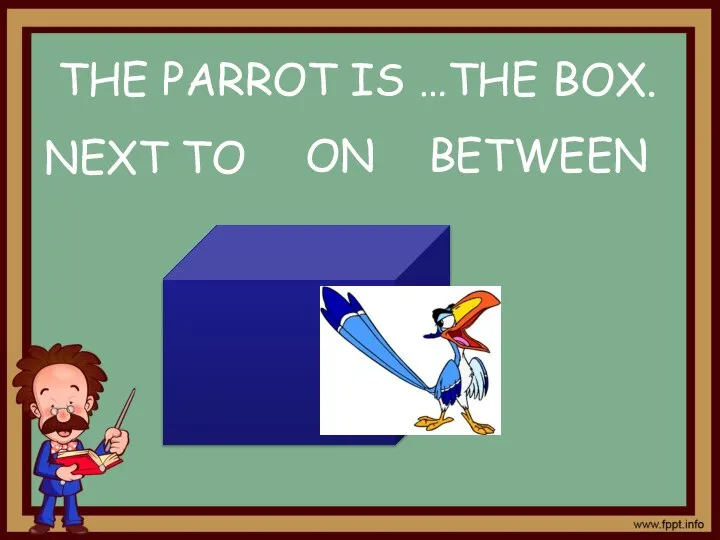 NEXT TO ON BETWEEN THE PARROT IS …THE BOX.
