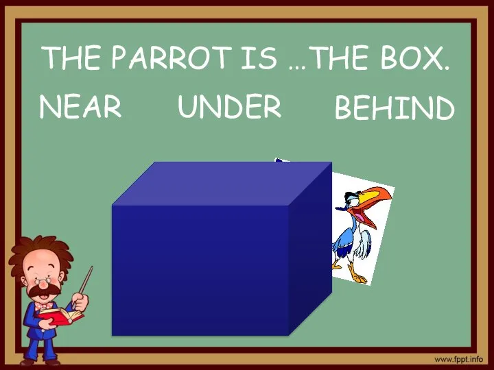 BEHIND NEAR UNDER THE PARROT IS …THE BOX.