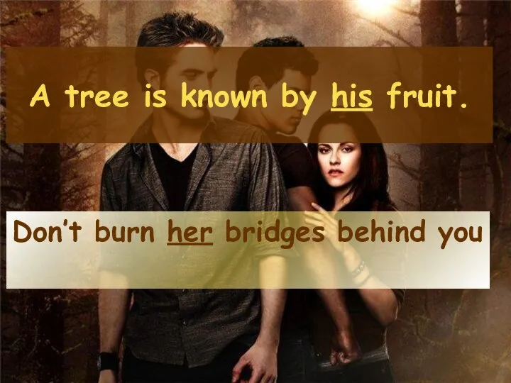 A tree is known by his fruit. Don’t burn her bridges behind you