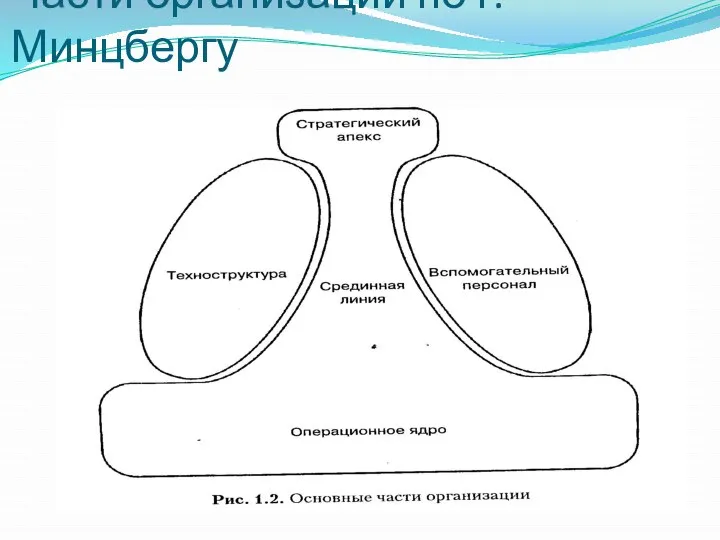 Части организации по г. Минцбергу