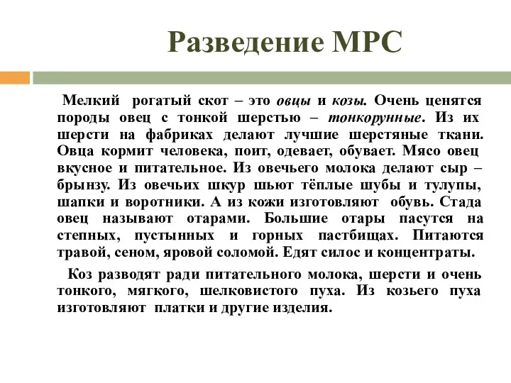 Разведение МРС Мелкий рогатый скот – это овцы и козы. Очень ценятся