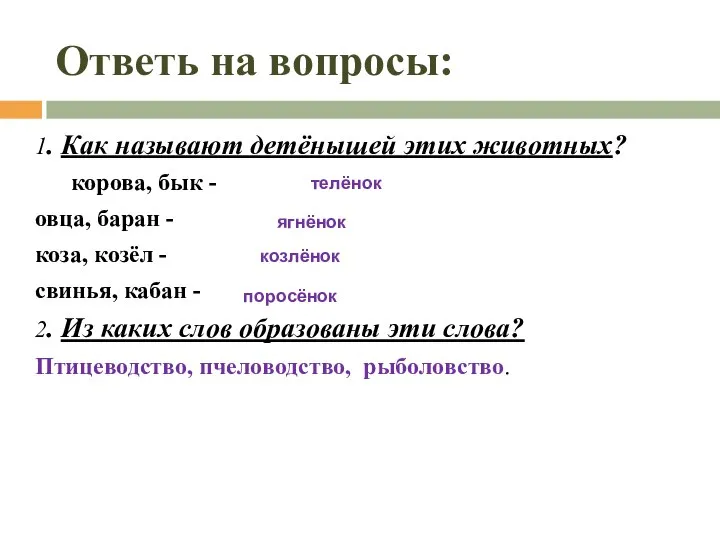 Ответь на вопросы: 1. Как называют детёнышей этих животных? корова, бык -